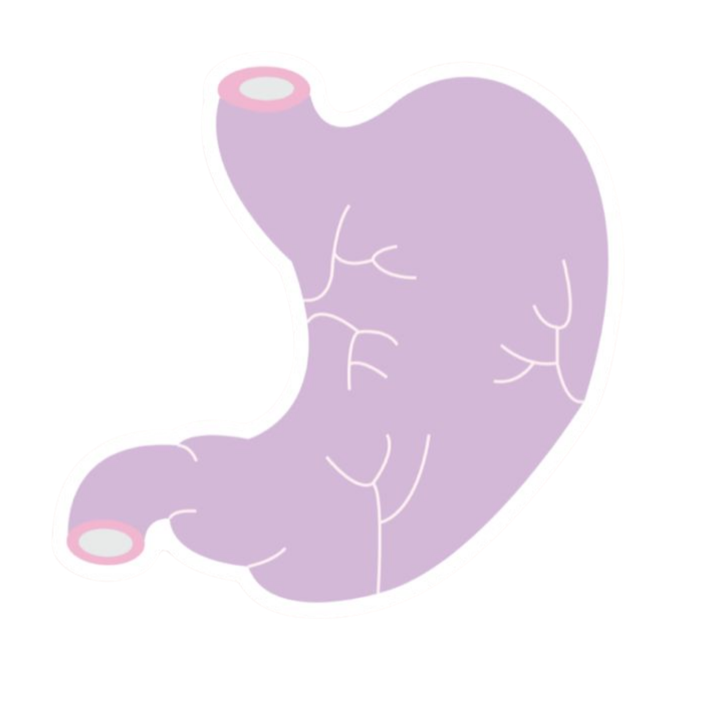 Purple Lungs | Human Biology Premium Sticker | Human Body & Organs