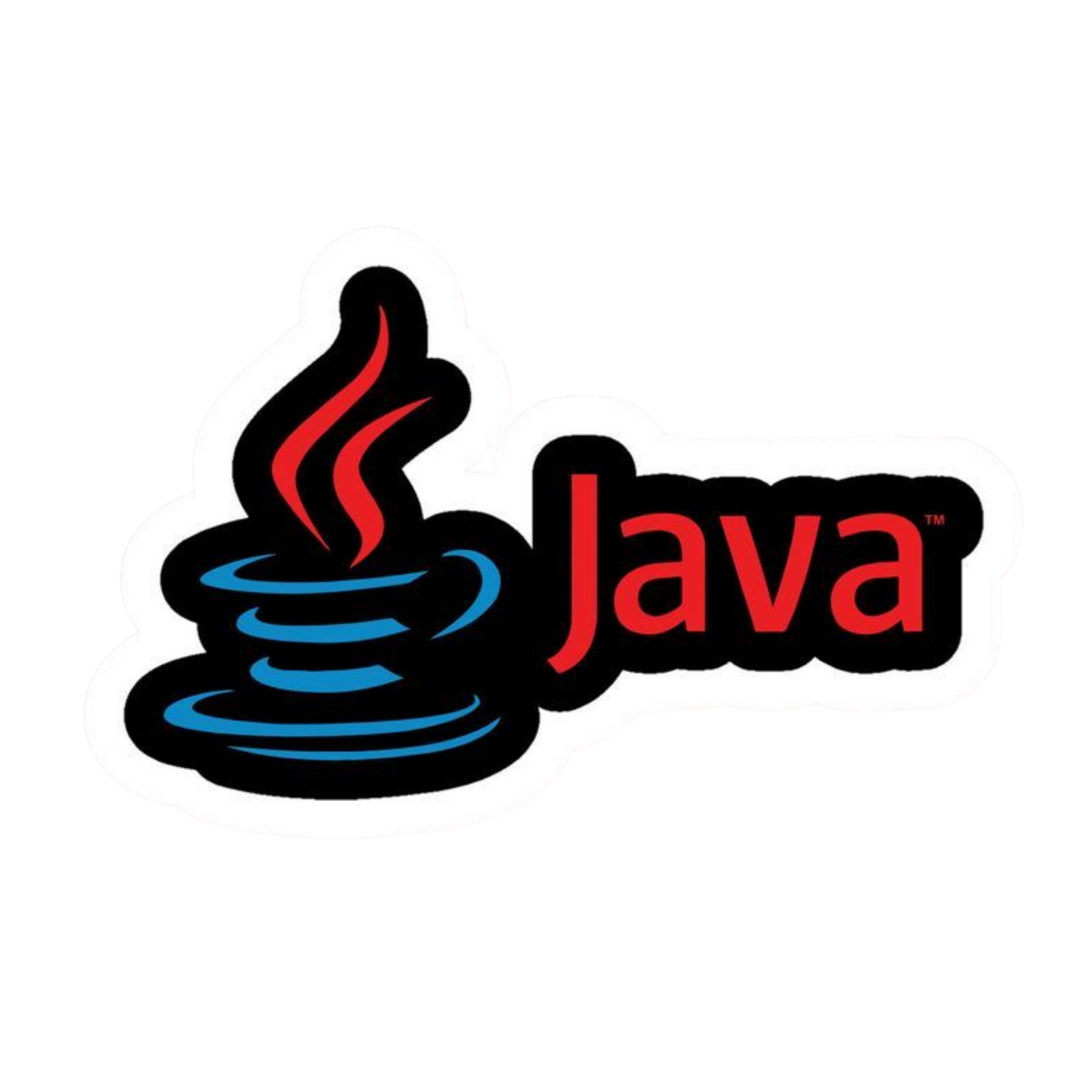 Programmer Sticker #20 | Coding & Developer Laptop Sticker | StickerBD