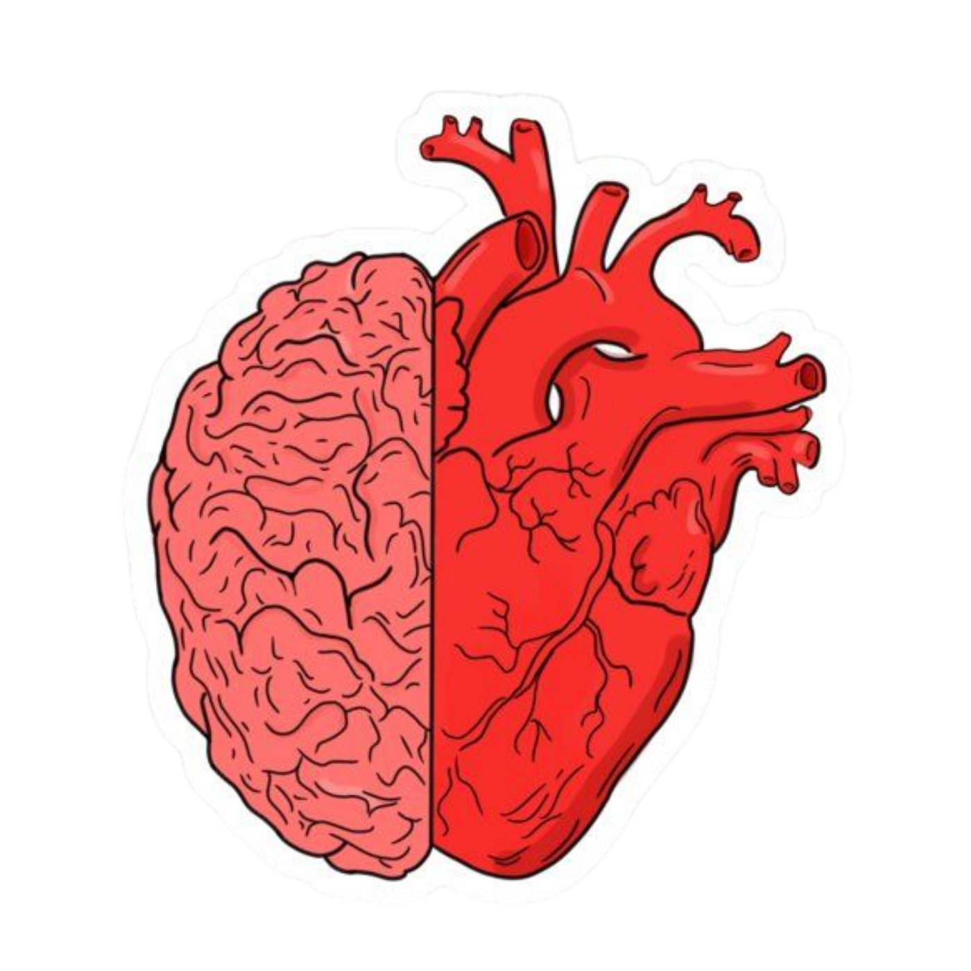 Heart Art | Human Biology Premium Sticker | Human Body & Organs