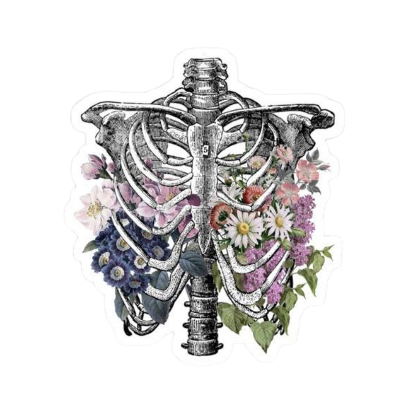 Artistic Organ 2 | Human Biology Premium Sticker | Human Body & Organs