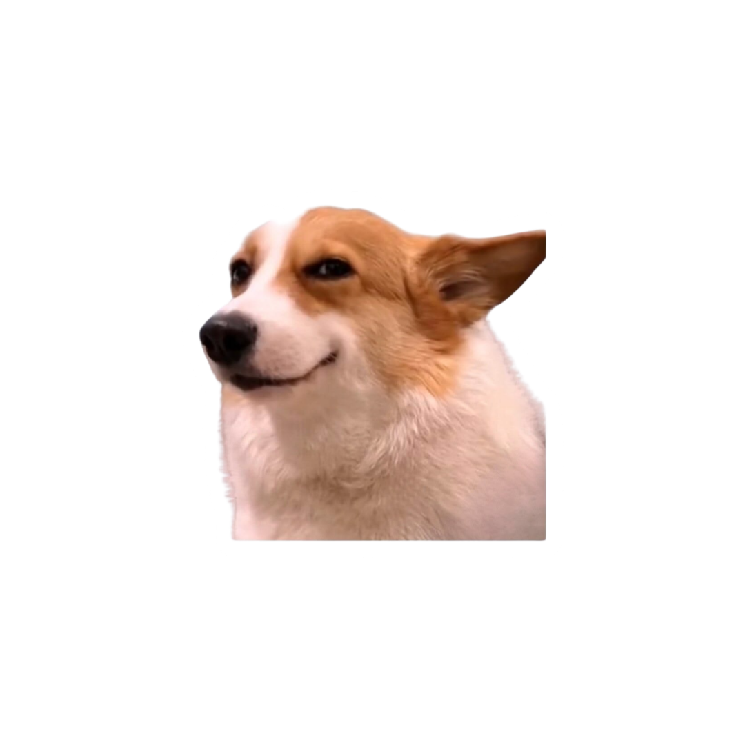 LOL Sticker 36 | Viral, Sarcastic & Weird Designs | StickerBD