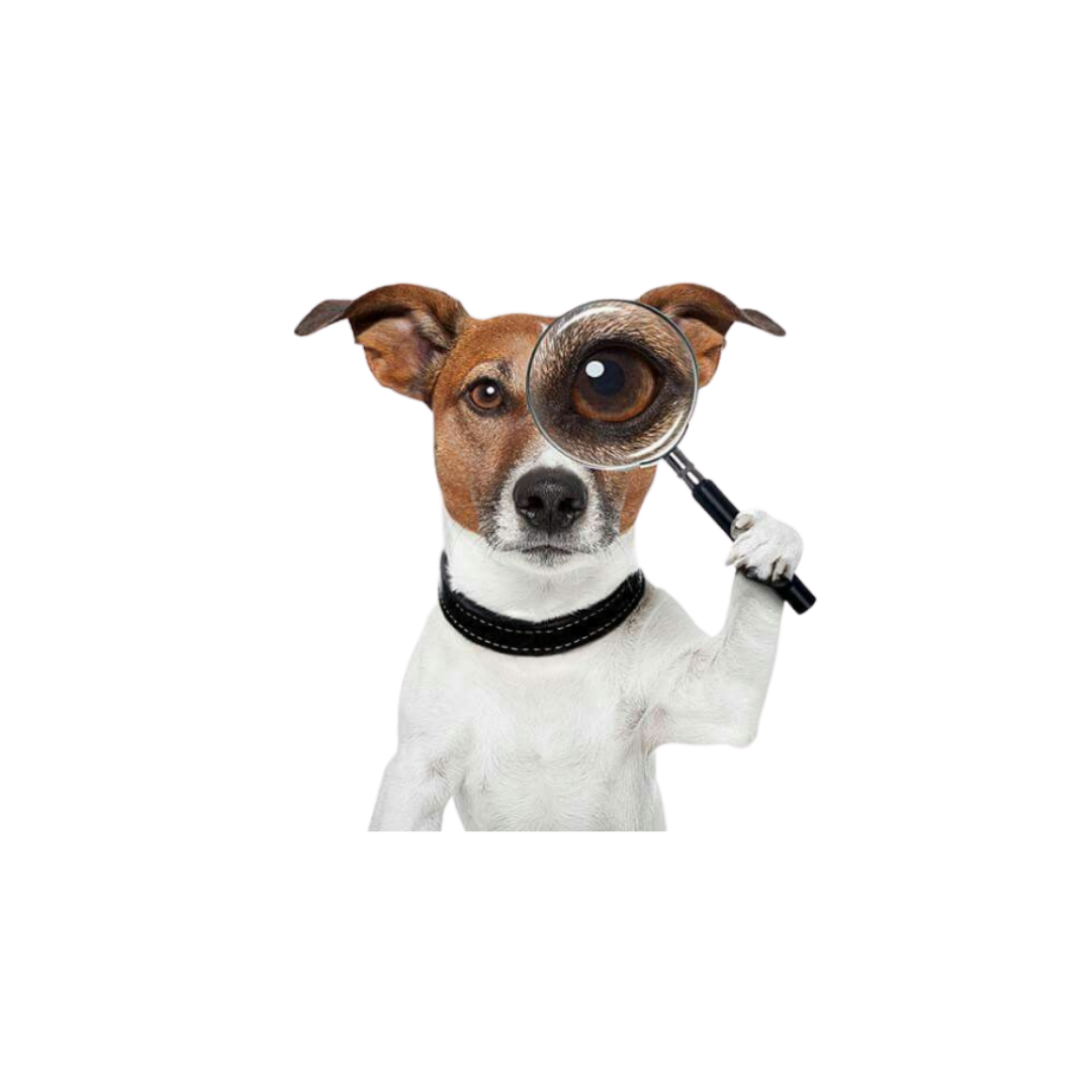 LOL Sticker 38 | Viral, Sarcastic & Weird Designs | StickerBD
