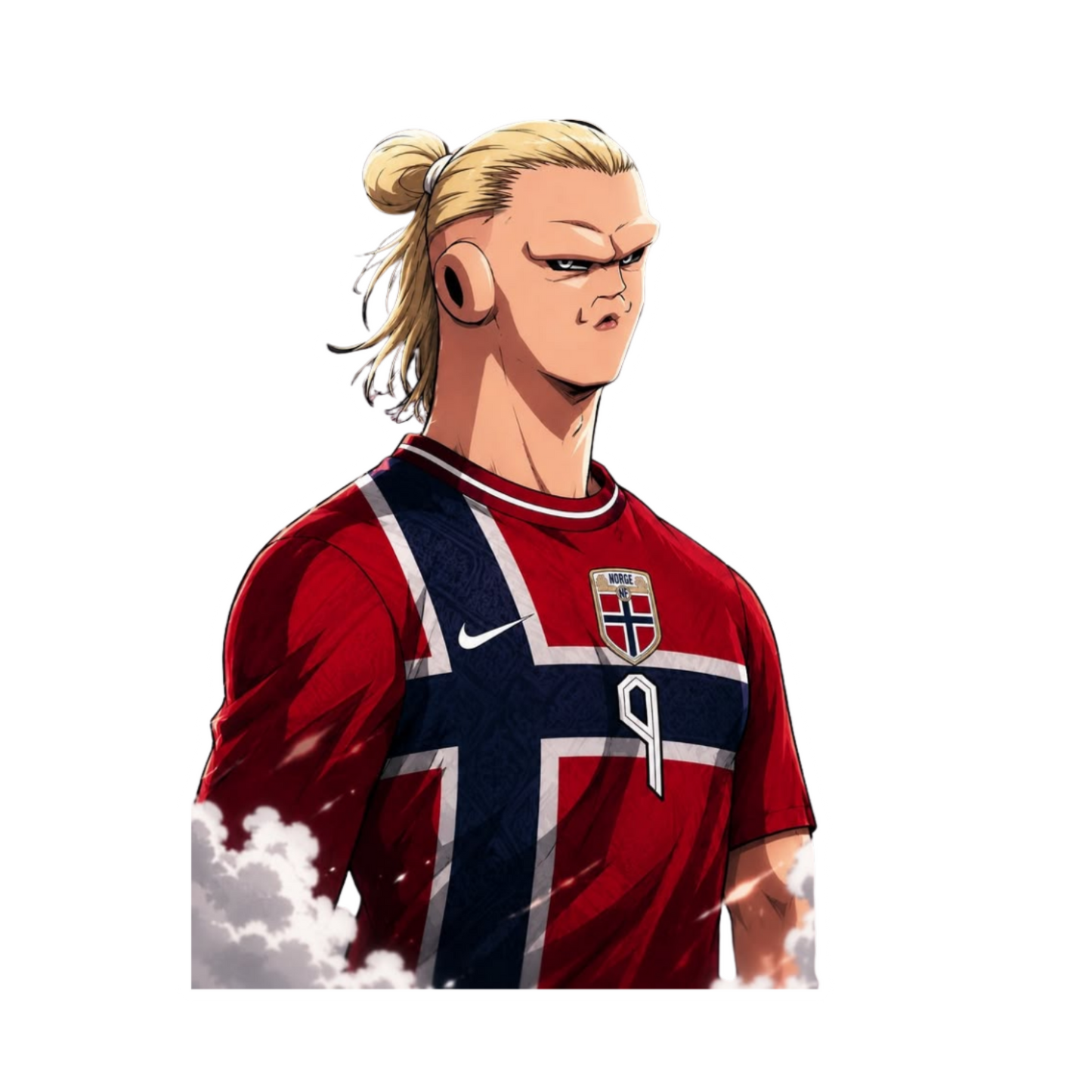 Norway Football Team Stickers 3 | Norway Football Sticker