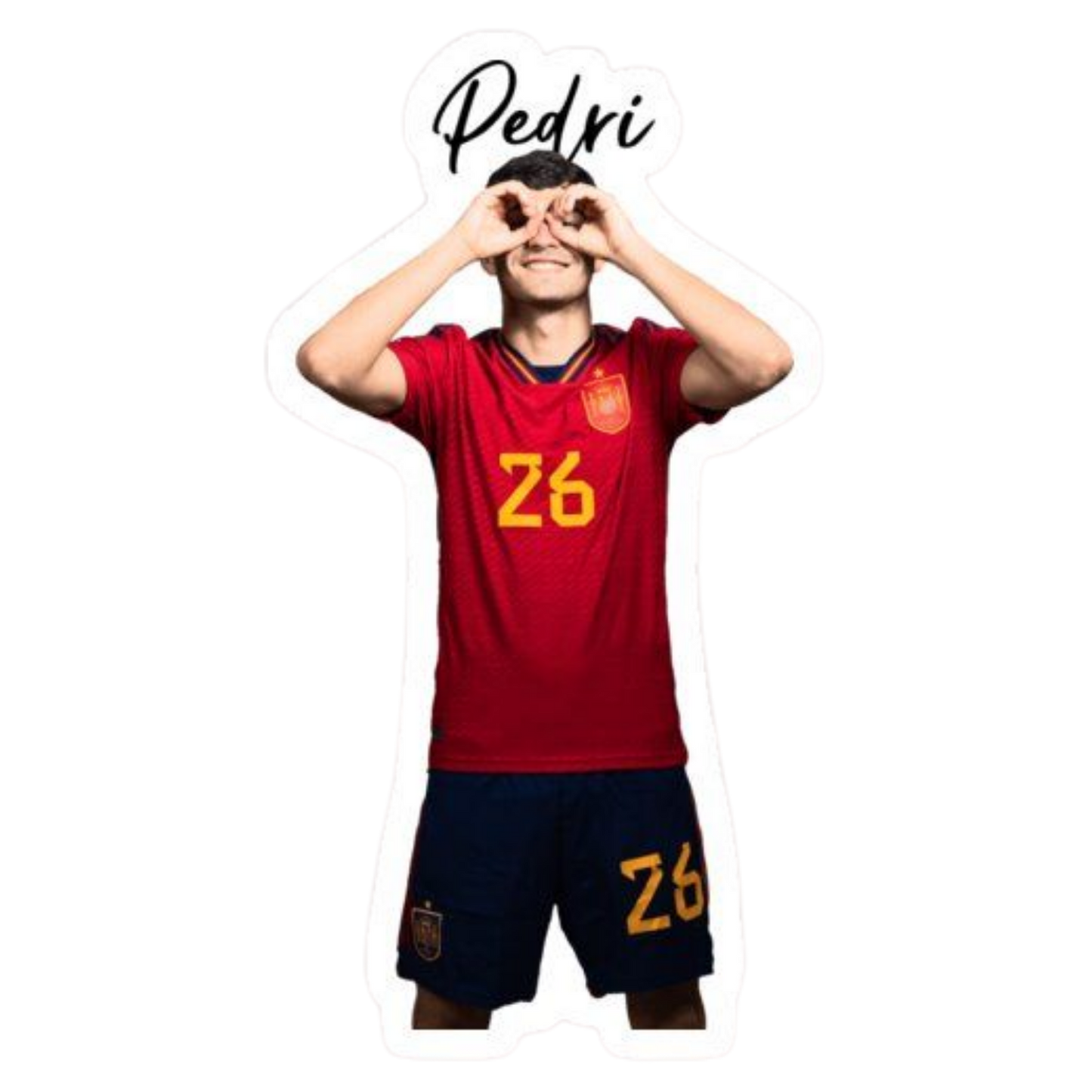 FC Spain 6 | Spain Football Sticker | Football Team
