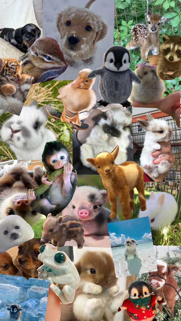 Animal Stickers featuring cute and wild animal themed designs.
