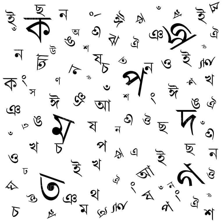 Bangla Stickers | Bengali Typography & Culture Designs | StickerBD