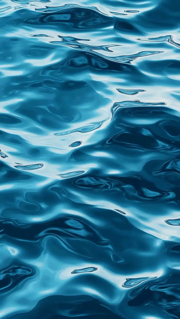 Water Stickers | Ocean & Water Theme Designs | StickerBD - StickerBD