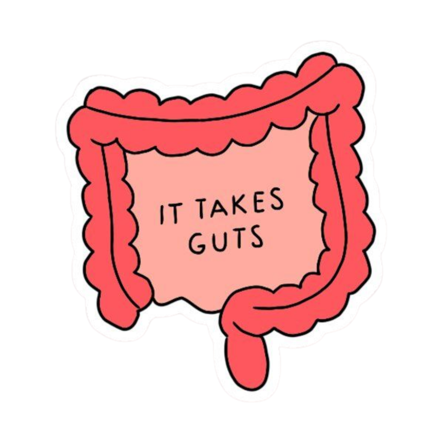 Stomach 2 | Human Biology Premium Sticker | Human Body & Organs