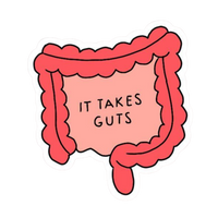 Stomach 2 | Human Biology Premium Sticker | Human Body & Organs