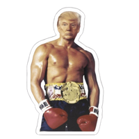 Donald Trump 10 | Donald Trump Sticker | Political