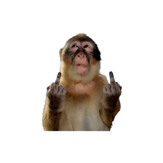 LOL Sticker 10 | Viral, Sarcastic & Weird Designs | StickerBD