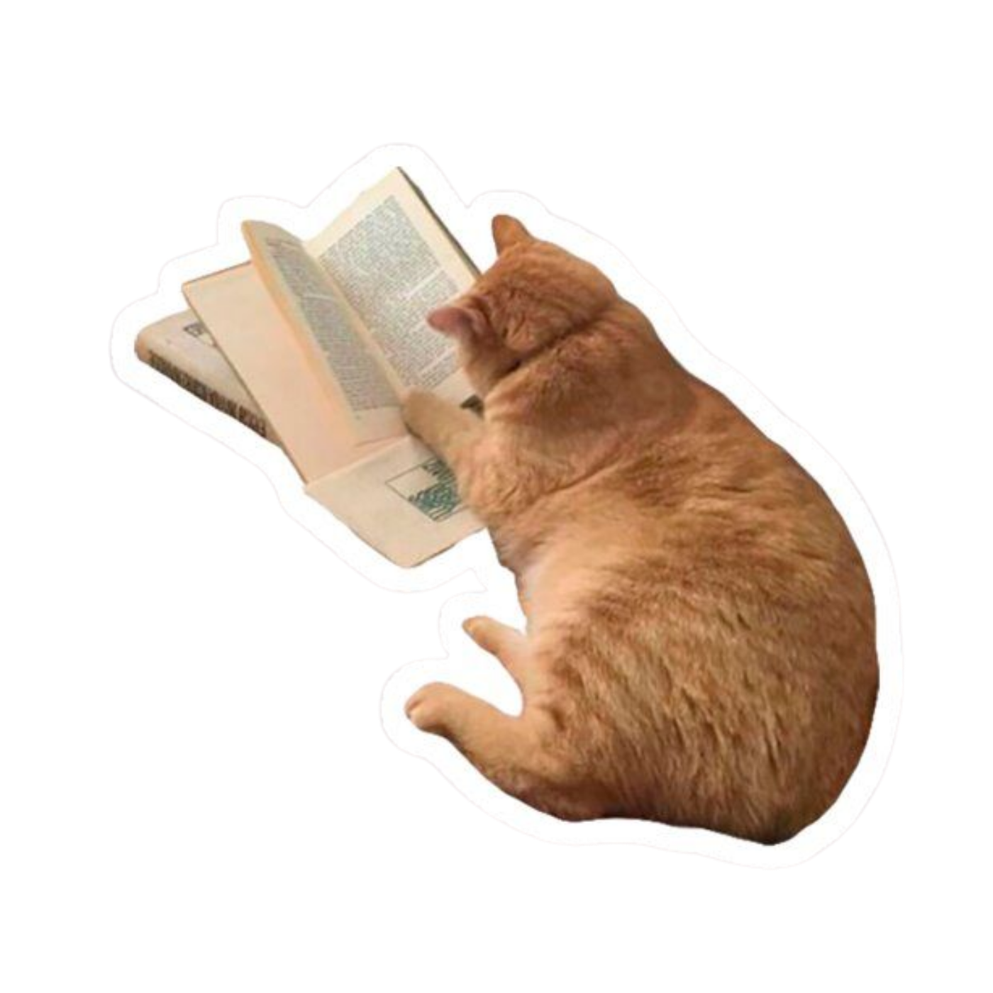 Sticker 10 | Study Motivation Premium Sticker | Study, Education & Motivation