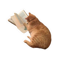 Sticker 10 | Study Motivation Premium Sticker | Study, Education & Motivation