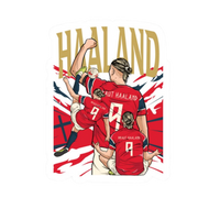 Norway Football Team Stickers 10 | Norway Football Sticker