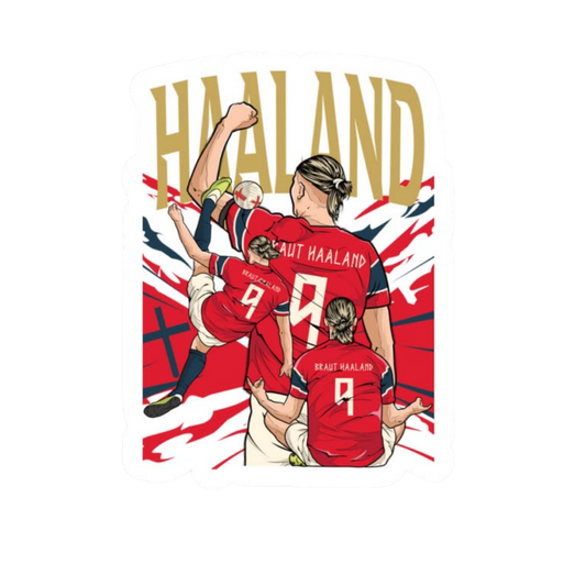 Norway Football Team Stickers 10 | Norway Football Sticker