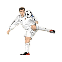Legend Zinedine Zidane | France Football Sticker | Football Team