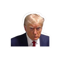 Donald Trump 11 | Donald Trump Sticker | Political