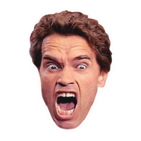 Schwarzenegger | Hollywood & Bollywood Celebrities Premium Sticker | Entertainment