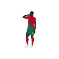 Portugues Player | Portugal Football Sticker | Football Team