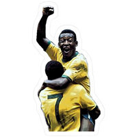 FC Brazil 23 | Brazil Football Sticker | Football sticker