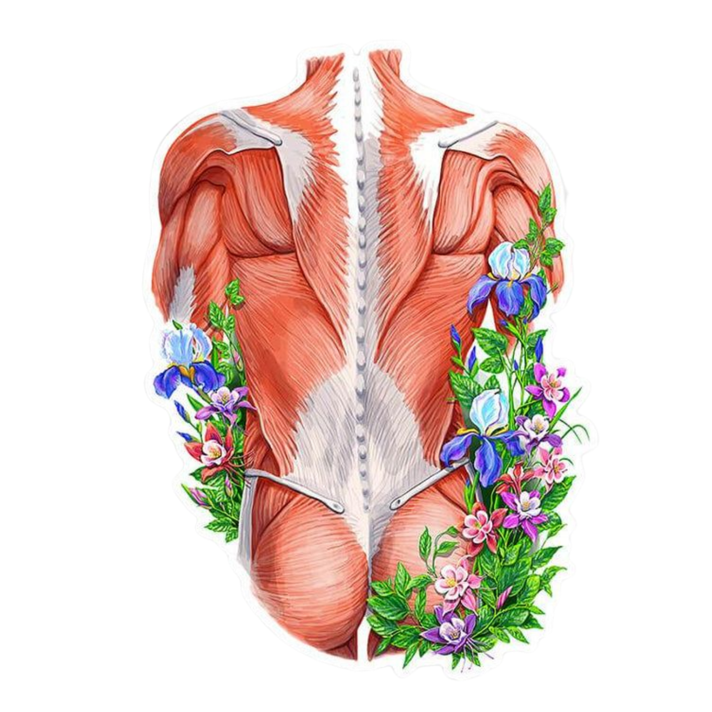Body Art | Human Biology Premium Sticker | Human Body & Organs