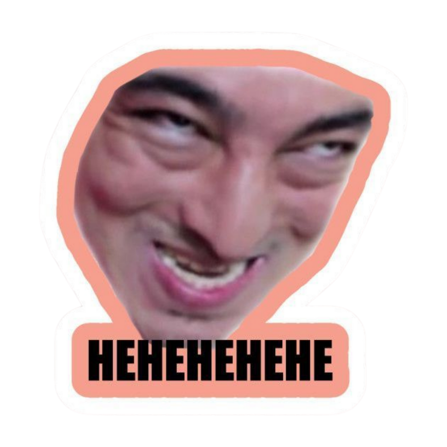 Funny Meme Sticker 15 | Viral Internet Humor Premium Sticker