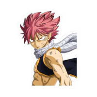 Natsu Dragneel Fairy Tail Sticker 5 | Fire Dragon Slayer