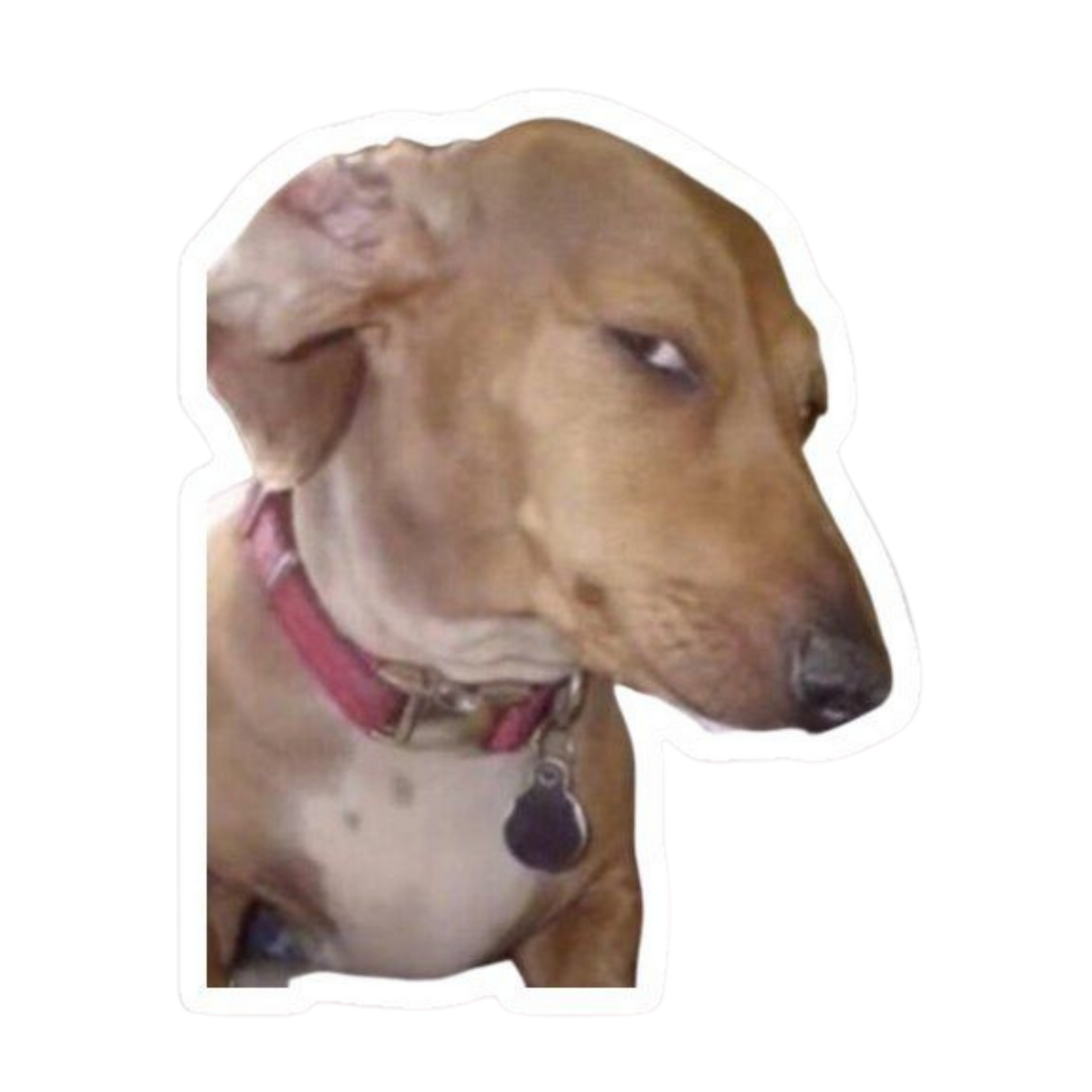 Funny Meme Sticker 16 | Viral Internet Humor Premium Sticker