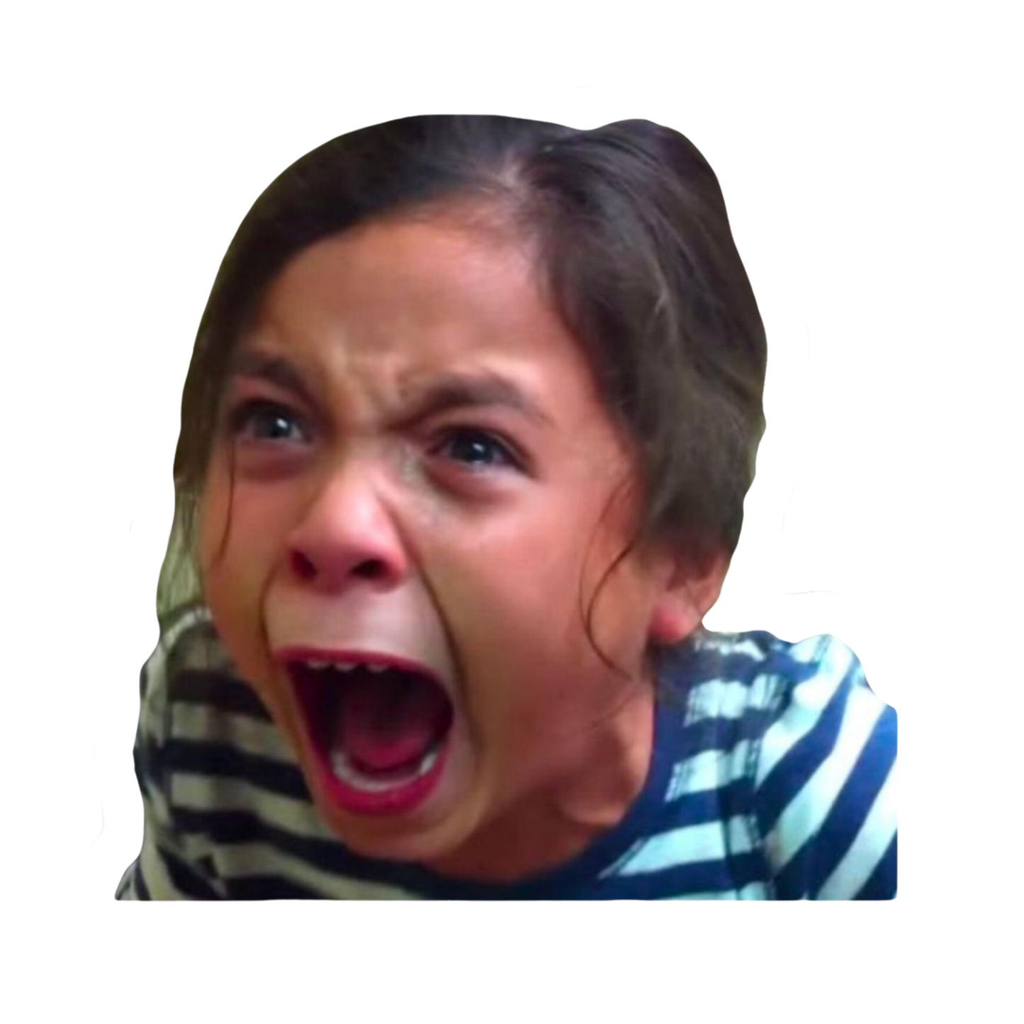 Funny Meme Sticker 11 | Viral Internet Humor Premium Sticker