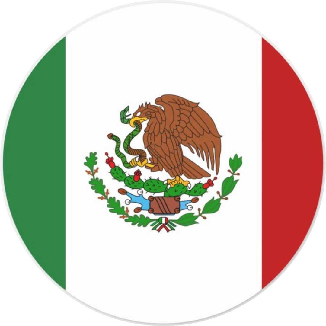 Mexico Fan Tinplate Badge