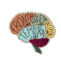 Brain | Human Biology Premium Sticker | Human Body & Organs