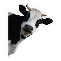 Cow | Cow Premium Sticker | Animal Stickers