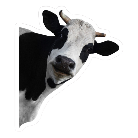 Cow | Cow Premium Sticker | Animal Stickers