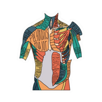 Human Body | Human Biology Premium Sticker | Human Body & Organs