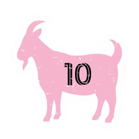 FC Argentina 31 | Argentina Football Sticker | Football Team