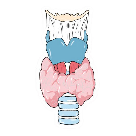 Meat & Bones | Human Biology Premium Sticker | Human Body & Organs