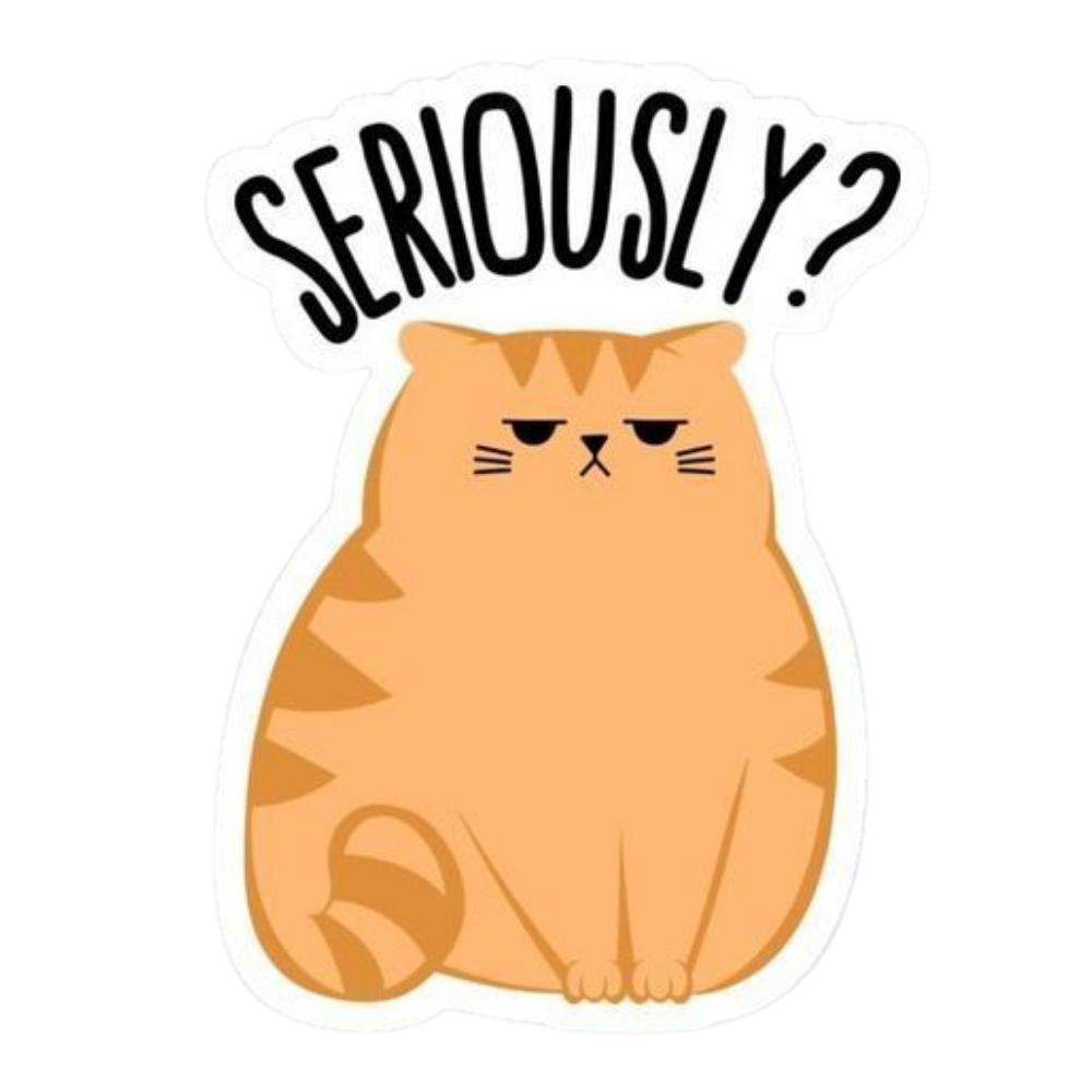 Cat 21 | Cat Premium Sticker | Cute Vibes 😺