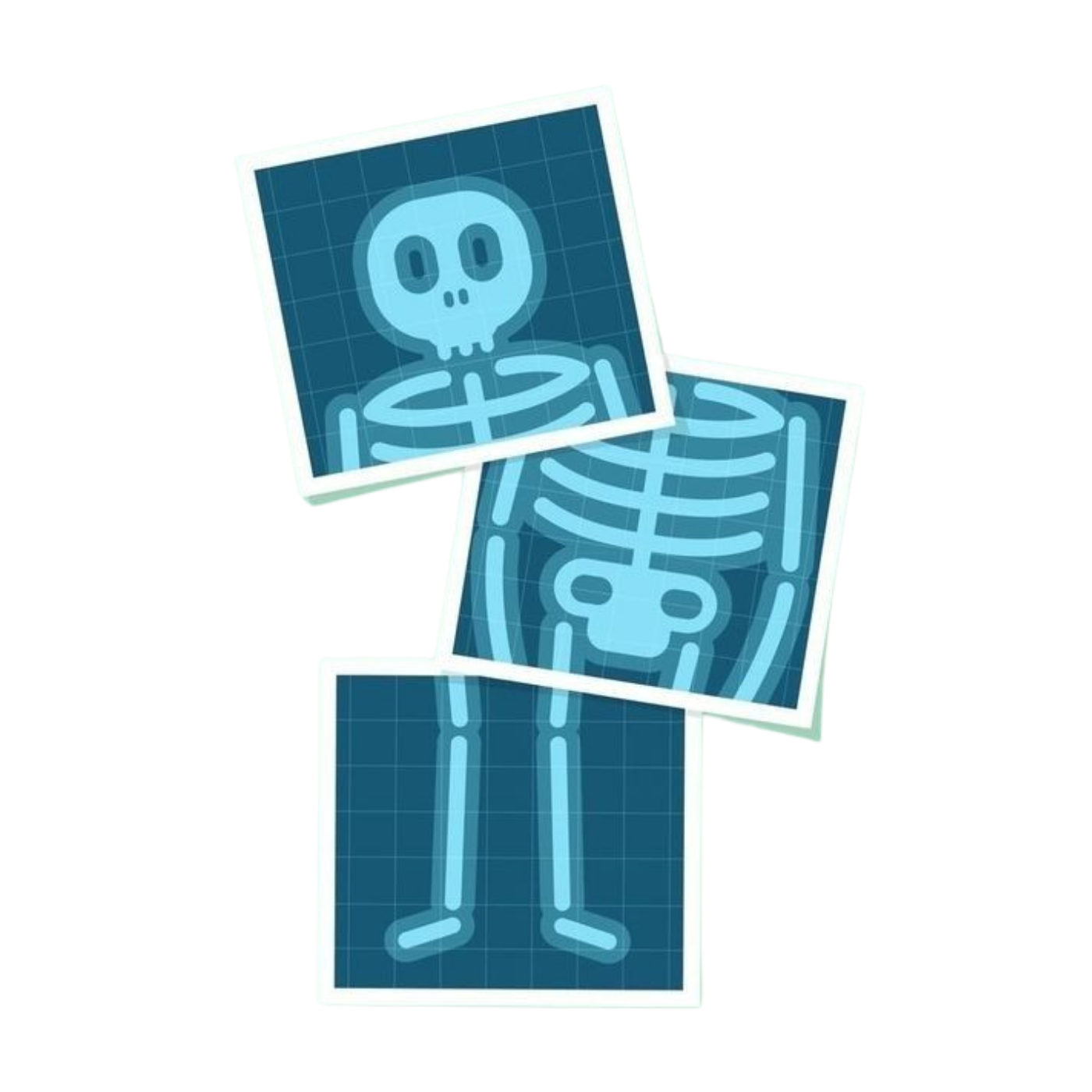 Funny Skeleton | Human Biology Premium Sticker | Human Body & Organs