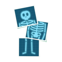 Funny Skeleton | Human Biology Premium Sticker | Human Body & Organs
