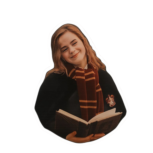 Harry Potter 22 | TV Series Premium Sticker
