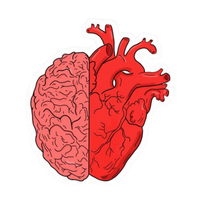 Heart Art | Human Biology Premium Sticker | Human Body & Organs