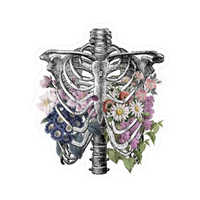 Artistic Organ 2 | Human Biology Premium Sticker | Human Body & Organs