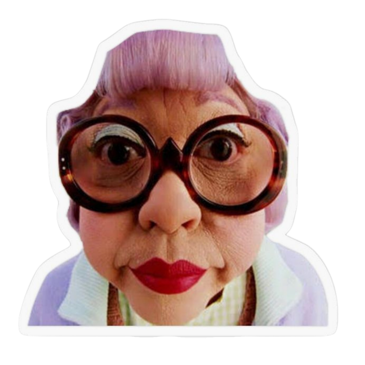 Funny Meme Sticker 24 | Viral Internet Humor Premium Sticker