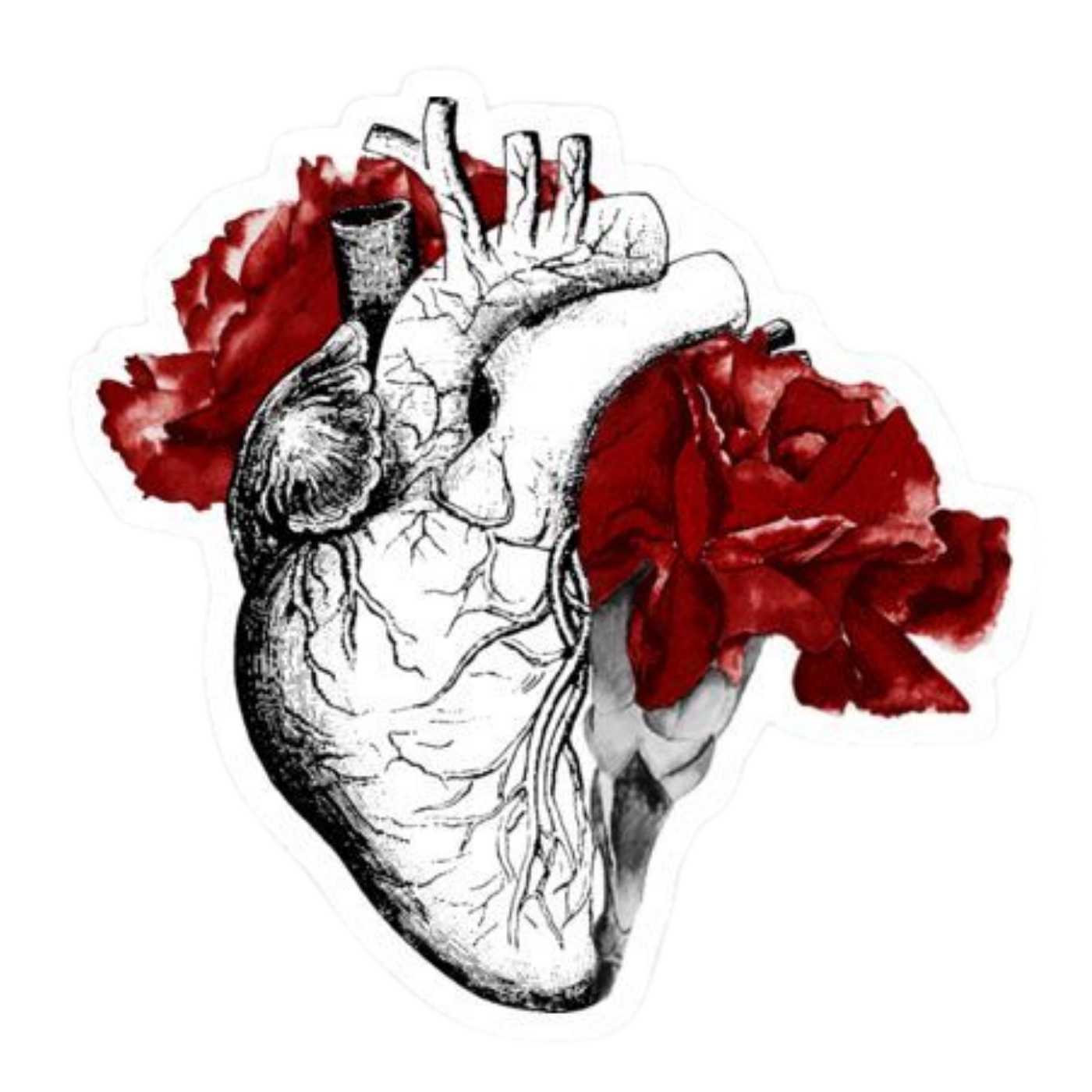 Artistic Organ 4 | Human Biology Premium Sticker | Human Body & Organs