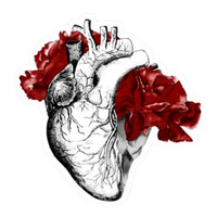 Artistic Organ 4 | Human Biology Premium Sticker | Human Body & Organs