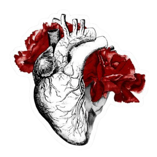 Artistic Organ 4 | Human Biology Premium Sticker | Human Body & Organs