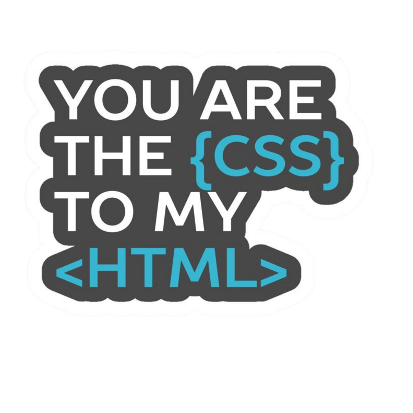 Programmer Sticker #28 | Coding & Developer Laptop Sticker | StickerBD