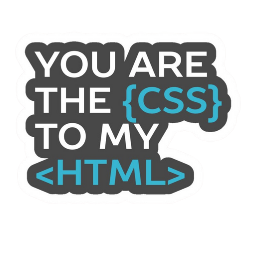 Programmer Sticker #28 | Coding & Developer Laptop Sticker | StickerBD