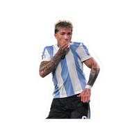 FC Argentina 39 | Argentina Football Sticker | Football Team