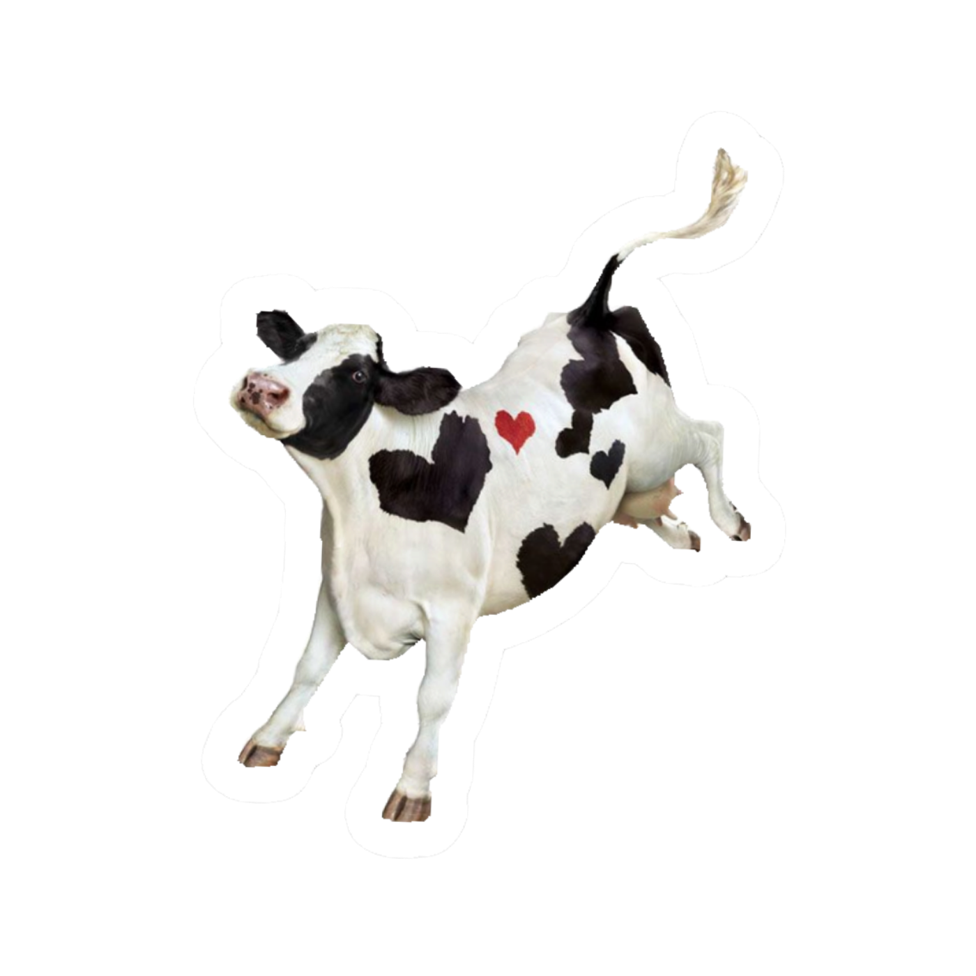 Cow 2 | Cow Premium Sticker | Animal Stickers